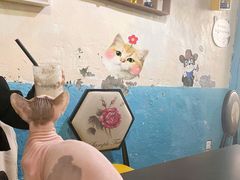 -猫小院猫主题咖啡厅(北锣店)