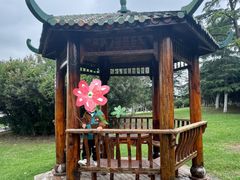 -滨湖塘西河公园