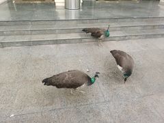 -西昌邛海宾馆