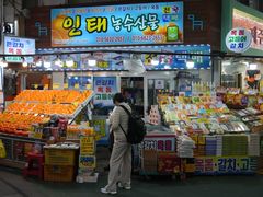 -西归浦每天偶来市场