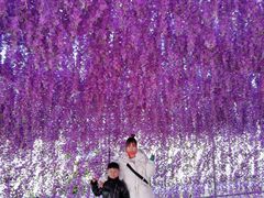 -绿野森林乐园冰雪季