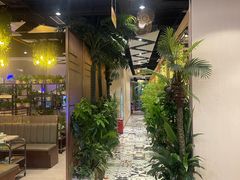 -四季合味椰子鸡(南山大冲店)