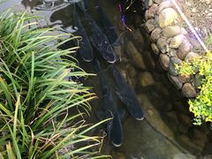 -万景饭店·鱼街农家菜