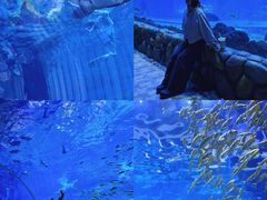 -华夏文旅海洋公园