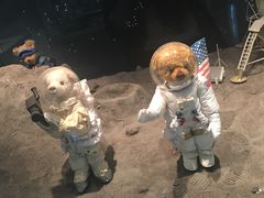 -济州岛泰迪熊博物馆