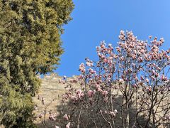 -东华门大街小区