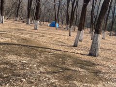 -长白岛森林公园