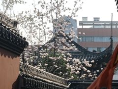 -长春观