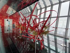 -上海环球金融中心云端足球盛典