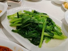 -飞鹿餐饮·陕南菜(北关店)