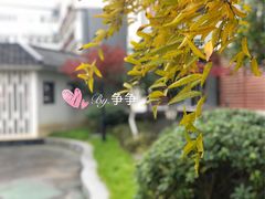 -锡师附小学(学前街校区)