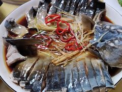 稀鳞硅鱼-煲来饱去冷水鱼