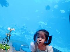 -海棠湾洲际-涛·海底餐厅·美人鱼·自助餐·海底隧道