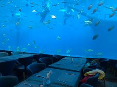 -瑞德姆美人鱼海底演艺主题餐厅(亚龙湾店)