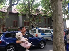 鲜肉粽-璐坊粽王(复兴中路店)