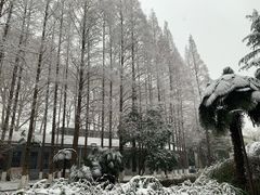 教学楼-南京航空航天大学(明故宫校区)
