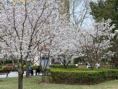 -徐家汇源景区-衡山公园