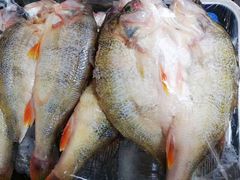 -新疆风味冷水鱼庄(友谊峰路店)