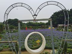 -黄腾峡生态旅游区