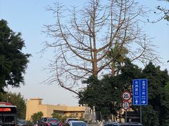 -长洲岛