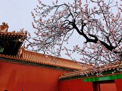 -故宫博物院(故宫)
