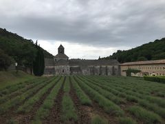 -塞南克修道院
