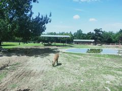 -西安秦岭野生动物园