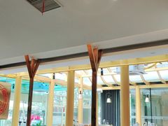 -矮冬瓜红茶火锅