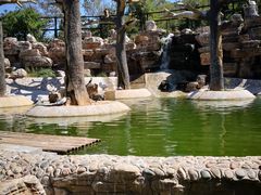 -石家庄市动物园