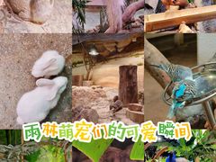 -正佳极地海洋世界