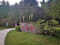 -四明山国家森林公园