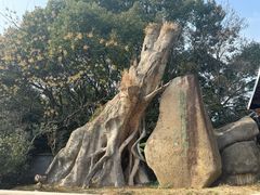 -宝岩生态观光园