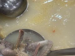 -鸽鸟轩(石岐店)
