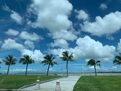 -251#coffee roasters(沿河东路店)