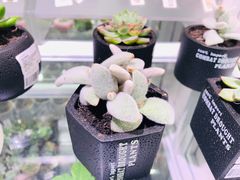 -KKV(深圳宏发大仟里店)