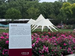 -大望京公园