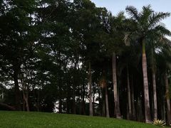-深圳湾公园(南山区)