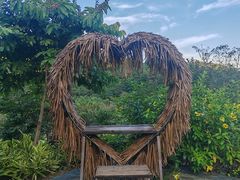 -广州白江湖森林公园