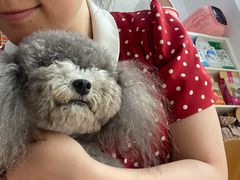 -萌兽医馆·宠物医院·猫骨科(创景店)