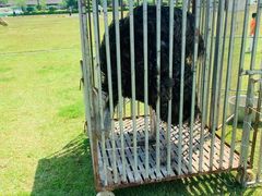 -千龙湖生态旅游度假区