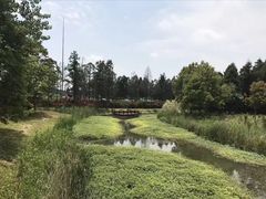 -东平国家森林公园