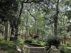 -昆明市金殿名胜区