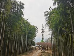 -莫干山风景区