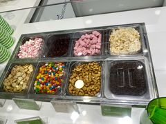 自助取餐区-Salud撒露欧洲冻酸奶(蓝色港湾店)