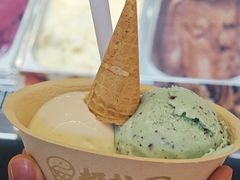 -极拉图·现制冰淇淋(大卫城店)