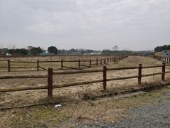 -上海杨姆庄园
