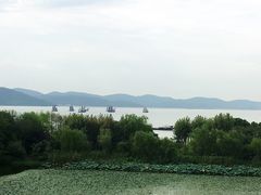 -上海市保健医疗中心(华东疗养院)