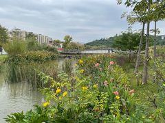 -飞凤山奥体公园