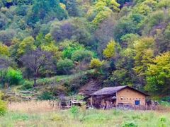 -秦岭风景区