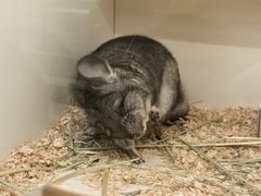 -龙猫仔乐园(惠福东路店)